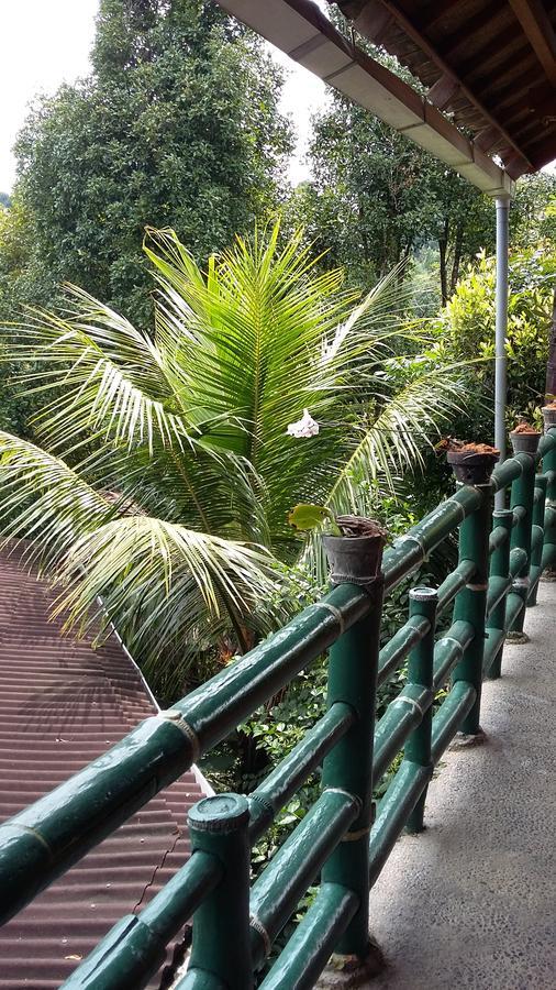 Dua Bintang 2* Munduk (Bali)